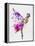 Ballerina on Stage Watercolor 3-Irina March-Framed Stretched Canvas