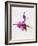 Ballerina on Stage Watercolor 4-Irina March-Framed Art Print