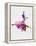 Ballerina on Stage Watercolor 4-Irina March-Framed Stretched Canvas