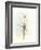 Ballerina on the Stage-NaxArt-Framed Art Print