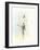 Ballerina on the Stage-NaxArt-Framed Art Print