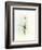 Ballerina on the Stage-NaxArt-Framed Art Print