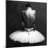 ballerina's back 2-Alexander Yakovlev-Mounted Photographic Print