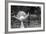 Ballerina Street Performer in Central Park, NYC-null-Framed Photo