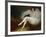 Ballerina with a Black Cat-Pierre Carrier-Belleuse-Framed Giclee Print