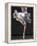 Ballerina-Erik Isakson-Framed Premier Image Canvas