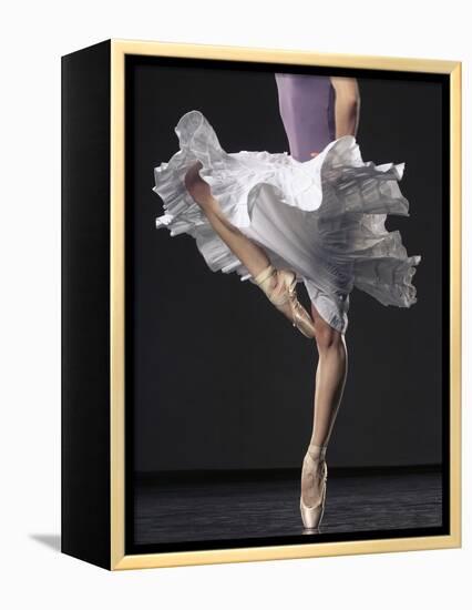 Ballerina-Erik Isakson-Framed Premier Image Canvas