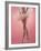 Ballerina-null-Framed Photographic Print