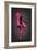 Ballerina-Octavian Mielu-Framed Art Print