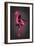 Ballerina-Octavian Mielu-Framed Premium Giclee Print