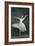 Ballerina-null-Framed Art Print