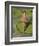 Ballerina-J Hovenstine Studios-Framed Giclee Print