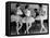 Ballerinas at George Balanchine's American School of Ballet Gathered During Rehearsal-Alfred Eisenstaedt-Framed Premier Image Canvas