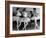 Ballerinas at George Balanchine's American School of Ballet Gathered During Rehearsal-Alfred Eisenstaedt-Framed Photographic Print