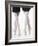 Ballerinas en pointe-Erik Isakson-Framed Photographic Print