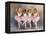 Ballerinas-Dianne Dengel-Framed Premier Image Canvas