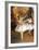 Ballerine Alla Barra-Edgar Degas-Framed Art Print