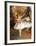 Ballerine Alla Barra-Edgar Degas-Framed Art Print