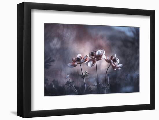 Ballerines-Fabien BRAVIN-Framed Photographic Print