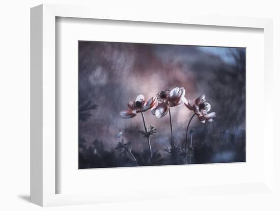 Ballerines-Fabien BRAVIN-Framed Photographic Print