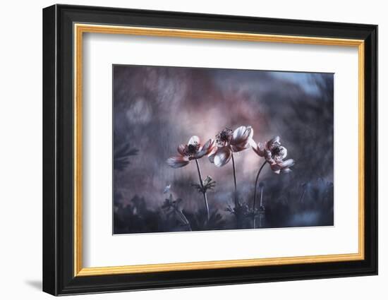 Ballerines-Fabien BRAVIN-Framed Photographic Print