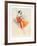 Ballet 2-Jim Jonson-Framed Limited Edition