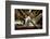 Ballet Dancer & Angel in Ruine-null-Framed Art Print