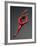 Ballet Dancer in Red Leotard-Erik Isakson-Framed Photographic Print