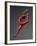 Ballet Dancer in Red Leotard-Erik Isakson-Framed Photographic Print