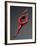 Ballet Dancer in Red Leotard-Erik Isakson-Framed Photographic Print