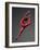 Ballet Dancer in Red Leotard-Erik Isakson-Framed Photographic Print