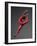 Ballet Dancer in Red Leotard-Erik Isakson-Framed Photographic Print