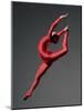 Ballet Dancer in Red Leotard-Erik Isakson-Mounted Photographic Print