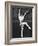 Ballet Dancer Performing on Stage-null-Framed Photo