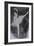 Ballet Dancer with Pink Top 2015-Susan Adams-Framed Giclee Print