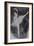 Ballet Dancer with Pink Top 2015-Susan Adams-Framed Giclee Print