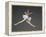 Ballet dancer-Erik Isakson-Framed Premier Image Canvas