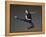 Ballet dancer-Erik Isakson-Framed Premier Image Canvas