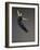 Ballet dancer-Erik Isakson-Framed Photographic Print