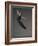 Ballet dancer-Erik Isakson-Framed Photographic Print