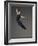 Ballet dancer-Erik Isakson-Framed Photographic Print