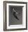 Ballet dancer-Erik Isakson-Framed Photographic Print