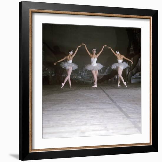 Ballet Dancers Performing a Scene from Swan Lake-null-Framed Photographic Print