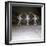 Ballet Dancers Performing a Scene from Swan Lake-null-Framed Photographic Print