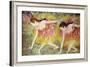 Ballet Dancers-Edgar Degas-Framed Art Print