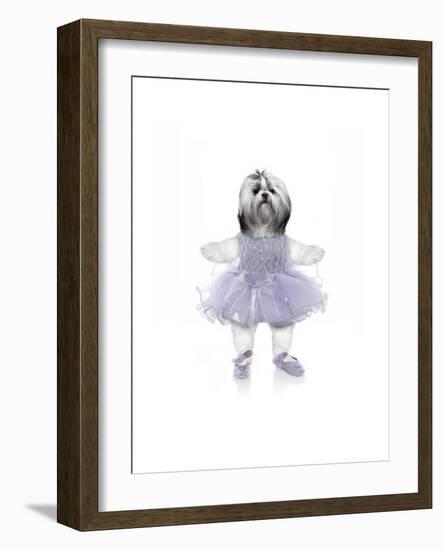 Ballet-J Hovenstine Studios-Framed Giclee Print