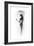 Ballet-Shadow-Framed Art Print