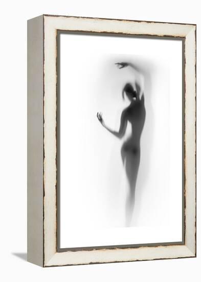 Ballet-Shadow-Framed Stretched Canvas