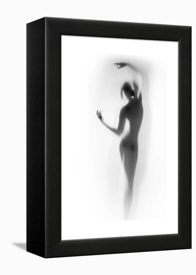 Ballet-Shadow-Framed Stretched Canvas