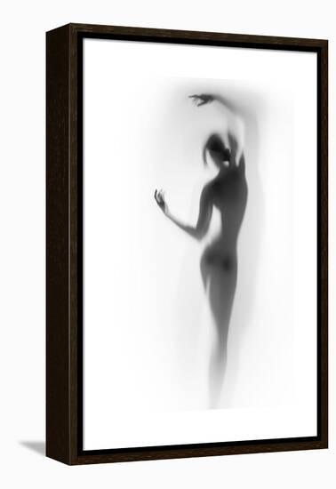 Ballet-Shadow-Framed Stretched Canvas